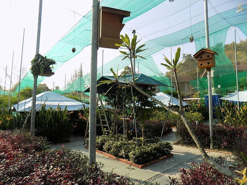 ที สตาร์ คอตเทจ Hotel ปันไตเจอนัง ภายนอก รูปภาพ