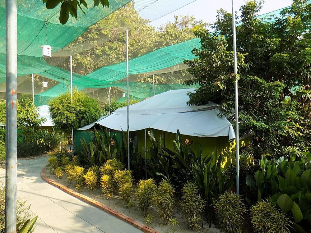 ที สตาร์ คอตเทจ Hotel ปันไตเจอนัง ภายนอก รูปภาพ