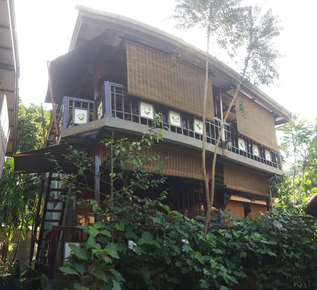 ที สตาร์ คอตเทจ Hotel ปันไตเจอนัง ภายนอก รูปภาพ
